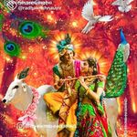 Profile Picture of Suneeta Gabel (@suneetagabel) on Instagram