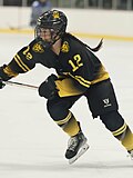 Jenna Rheault - Wikipedia Profile Picture of Jenna Rheaulton Wikipedia