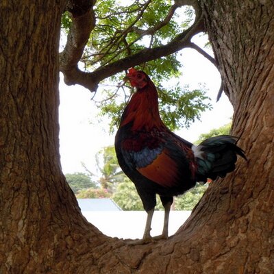 Profile Picture of Kenneth E. Graap (@KennethVZW) on Twitter