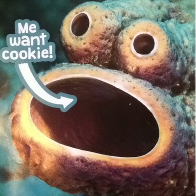 Profile Picture of Dan Bridgeman (@dlbridgeman) on Twitter