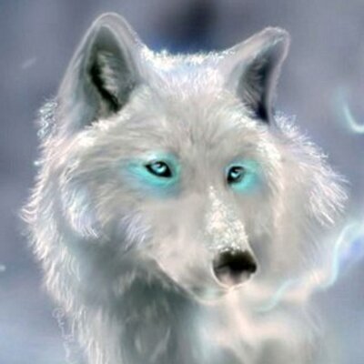 Profile Picture of Bryan Longstaff (@Bow_72) on Twitter