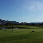 Profile Picture of Bernie Smalley (@mets_fan0505) on Instagram