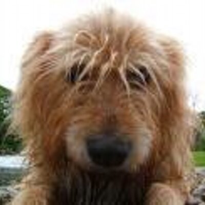 Profile Picture of Laura Scurr (@EpicOlivia123) on Twitter