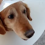 Profile Picture of Julian Gaido (@julian.gaido.5623) on Facebook