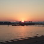 Profile Picture of Troy Neumann (@troy.neumann.9) on Facebook