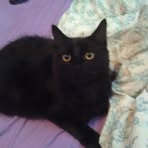 Profile Picture of Robin Pettijohn (@robin.pettijohn.92) on Facebook