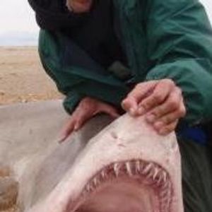 Profile Picture of Carl Brophy (@carlsfishpictures) on Myspace