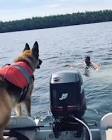Profile Picture of   Going' for a swim 🐠 🐕... (@joey_quinn4) on Tiktok
