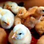 Profile Picture of Elisa Mancilla (@Elisa-Mancilla) on Facebook