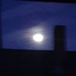 Profile Picture of Damon Cannon (@cannon2915) on Instagram