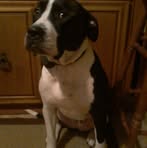 Profile Picture of Al N Debbie Hauri (@allen.hauri) on Facebook