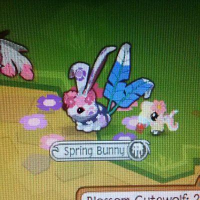 Profile Picture of Isabelle Parker (@Mbkhan4343Carly) on Twitter