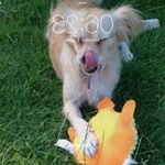 Profile Picture of Barry James Harben (@percy_shovel) on Instagram