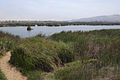 Profile Picture of Pantanos de Villa Wildlife Refugeon Wikipedia
