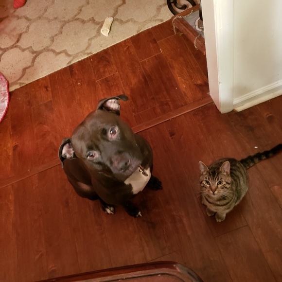 Profile Picture of Jerry Sadowski (@welder475) on Poshmark