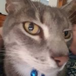 Profile Picture of Rhet Bennett (@rhetbennett) on Instagram