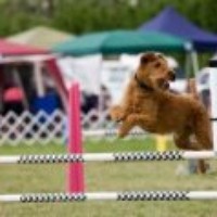 Profile Picture of Pam Bartholomew (@pam-bartholomew) on Quora