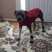 Profile Picture of Lindsay Rust (@lindz1733) on Pinterest