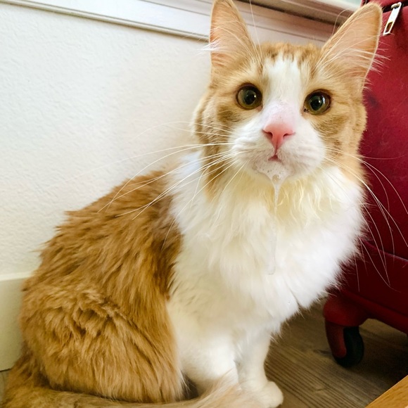 Profile Picture of Bao Bao (@bbbbbbb113) on Poshmark