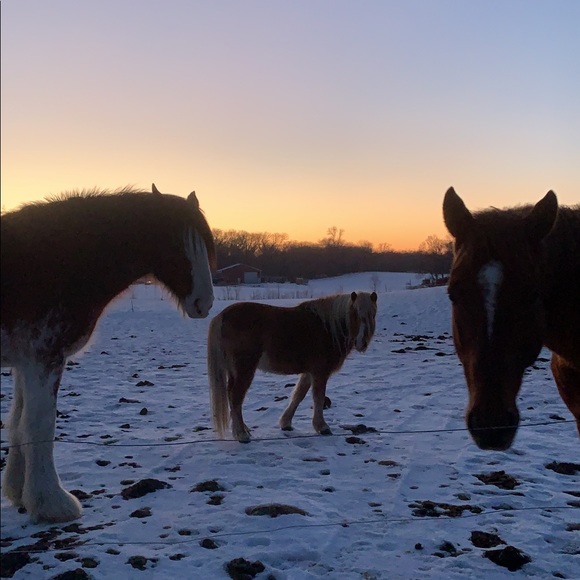 Profile Picture of Ruby Pozorski (@pozorskiruby) on Poshmark