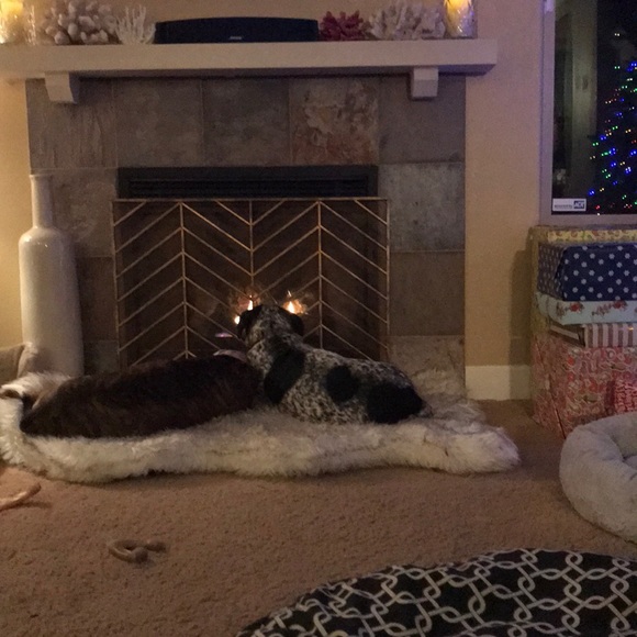 Profile Picture of Josh Arment (@josharment) on Poshmark