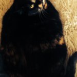 Spencer Bean - Instagram Profile Picture of Spencer Bean (@bean2019) on Instagram