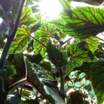 Profile Picture of erik_henrikson (@erik_henrikson) on Instagram