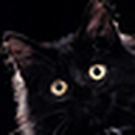 Profile Picture of Jose Luis Patiño (@j. l. patiño) on Flickr