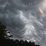 Profile Picture of Terry Lemon (@terry.lemon.714) on Instagram