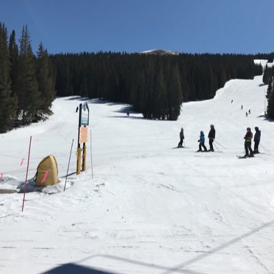 Profile Picture of Bryce Mckenzie (@bryce13gill) on Twitter