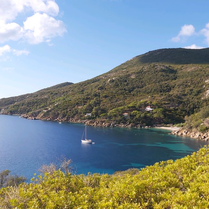 Profile Picture of Paola Trezzi (@paolatrezzi4) on Tiktok