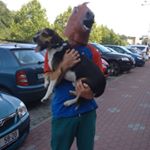 Profile Picture of Richardstankus (@risa.stankus) on Instagram