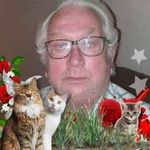 Profile Picture of paul (@paulottens56) on Instagram