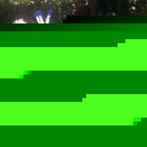 Profile Picture of Meera Rajkumar (@223892772) on Myspace