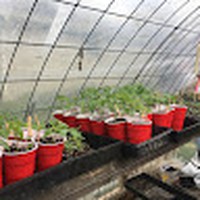 Profile Picture of Bob Wing (@bob-wing-22) on Quora