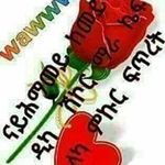 Profile Picture of Daniel Beraki (@daniel.beraki) on Instagram