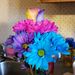 Profile Picture of Tara Manion (@sprkls19) on Pinterest