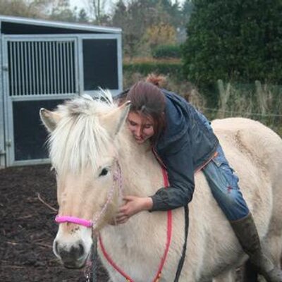 Profile Picture of Lisa Torrez (@feather_lisa) on Twitter