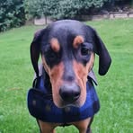 Profile Picture of Alec Ralph (@alec.ralph.2003) on Facebook