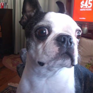 Profile Picture of Dorothy Decker (@Dorothy-Decker) on Facebook