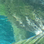 Profile Picture of Danielle Alexander (@daniellealexander701) on Youtube