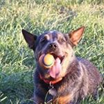 Profile Picture of Andrea Wilmer (@andrea.wilmer.56) on Instagram