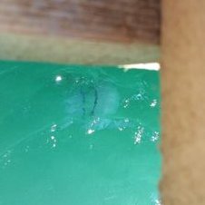 Profile Picture of David Elman (@DavidElman2) on Twitter