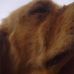 Profile Picture of Toby Phillips (@toby.phillips.58) on Facebook