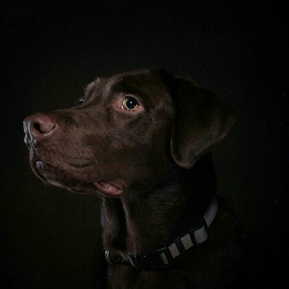 Profile Picture of Rodel Resolme (@del619) on Poshmark
