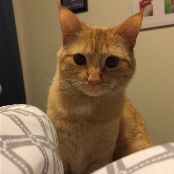 Profile Picture of Andranae Soberalski (@asober91) on Poshmark