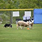 Profile Picture of Paula Reardon (@paulareardon1212) on Instagram