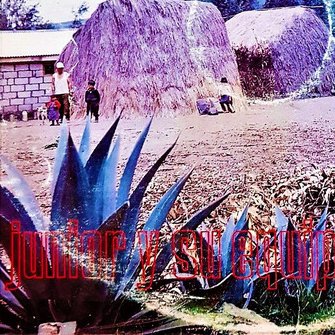 Profile Picture of Maximino Sanchez Hernandez (@Maximin99395544) on Twitter