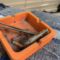 Profile Picture of Ryan Stach (@ryan-stach-4) on Quora