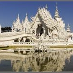 Profile Picture of Ivygreen (@ivygreenearne) on Instagram